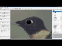 ATROPOS security printing software - demo colibri